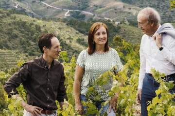 Španělské vinařství Torres - The World’s Most Admired Wine Brand roku 2024